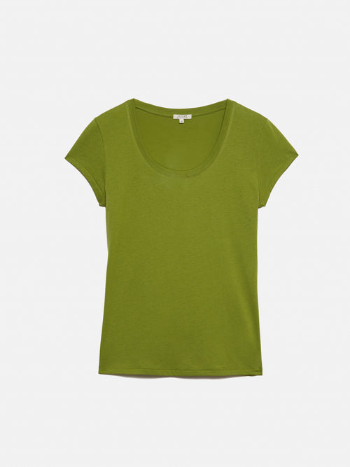 Supima Cotton Scoop Neck Tee | Yucca Green